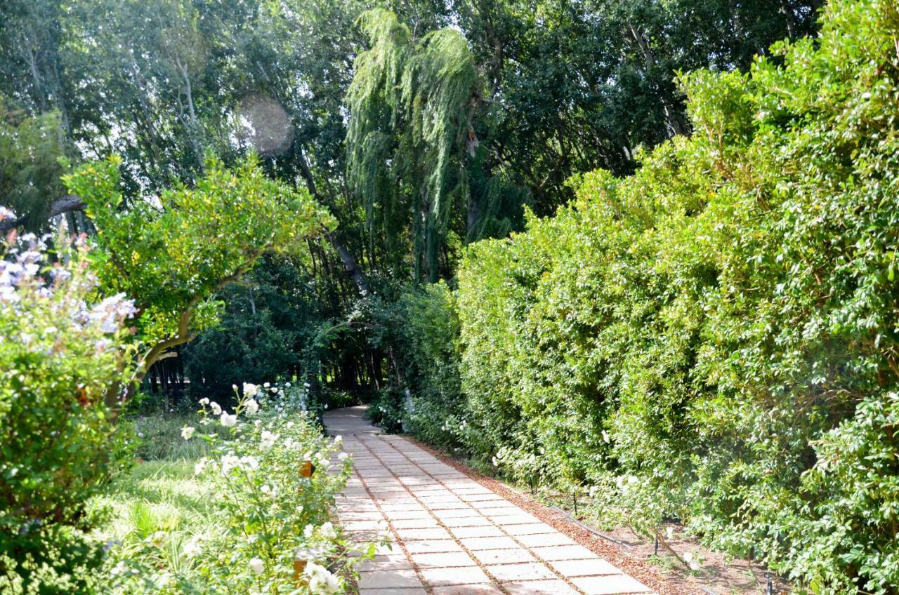 La Paris Estate Hotell Franschhoek Exteriör bild